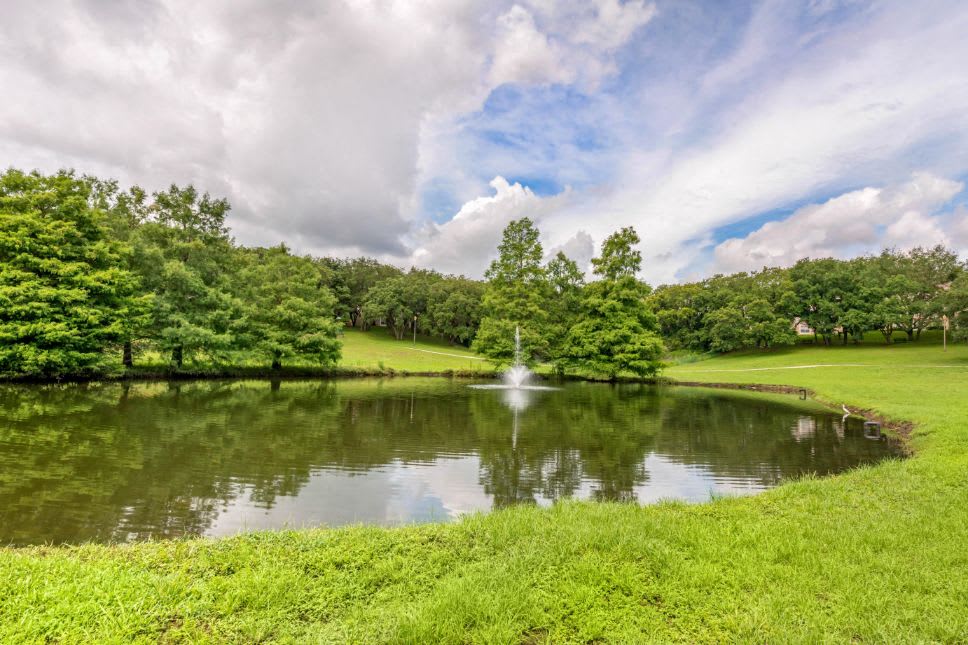 Photos and Video of Woodhill Apartments in Orlando, FL